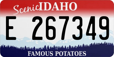 ID license plate E267349
