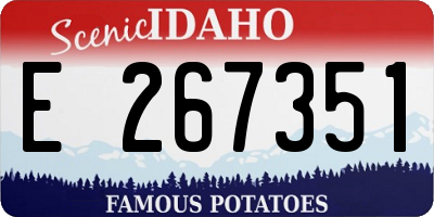 ID license plate E267351