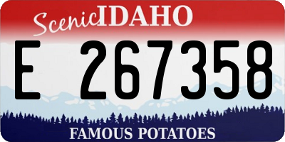 ID license plate E267358