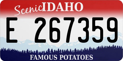 ID license plate E267359