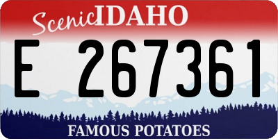 ID license plate E267361