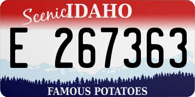 ID license plate E267363