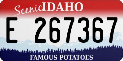 ID license plate E267367
