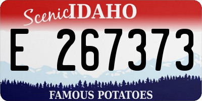 ID license plate E267373