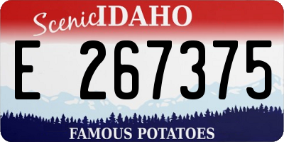 ID license plate E267375
