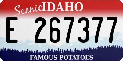 ID license plate E267377