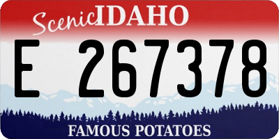ID license plate E267378