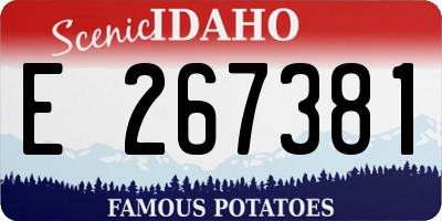 ID license plate E267381