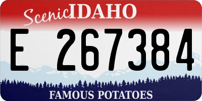 ID license plate E267384