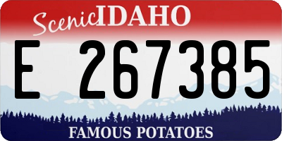 ID license plate E267385