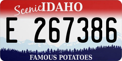 ID license plate E267386
