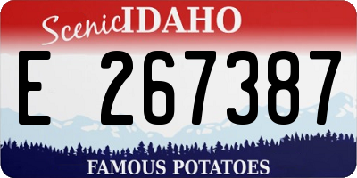 ID license plate E267387