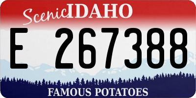 ID license plate E267388