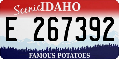 ID license plate E267392