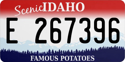 ID license plate E267396