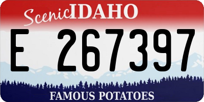 ID license plate E267397