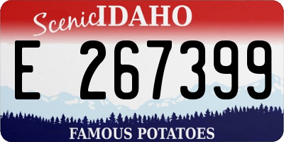 ID license plate E267399
