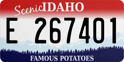 ID license plate E267401