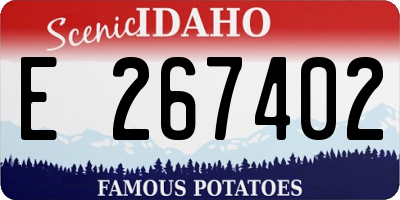 ID license plate E267402