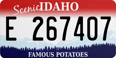 ID license plate E267407