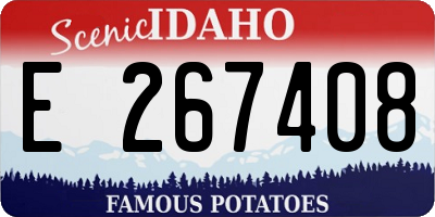 ID license plate E267408