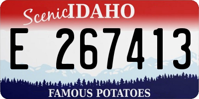 ID license plate E267413