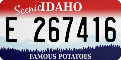 ID license plate E267416