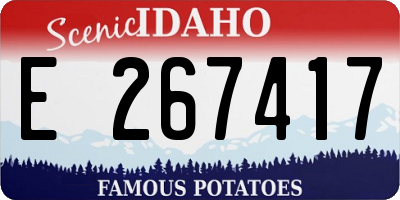 ID license plate E267417