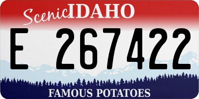 ID license plate E267422