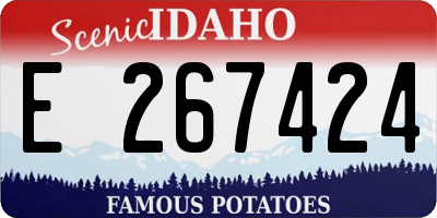 ID license plate E267424