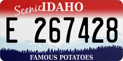ID license plate E267428