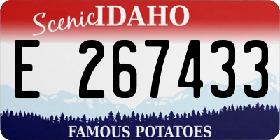 ID license plate E267433
