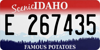 ID license plate E267435