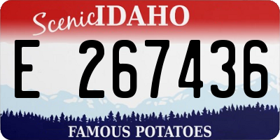 ID license plate E267436