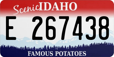 ID license plate E267438