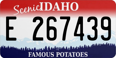 ID license plate E267439