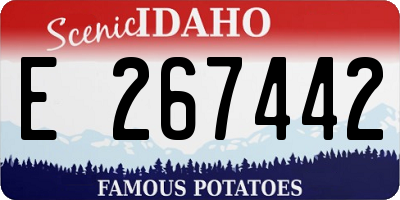 ID license plate E267442