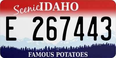 ID license plate E267443