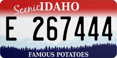 ID license plate E267444