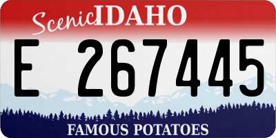 ID license plate E267445