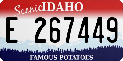 ID license plate E267449