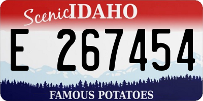 ID license plate E267454