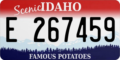 ID license plate E267459