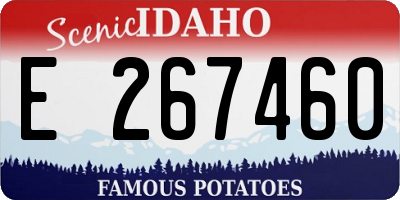 ID license plate E267460