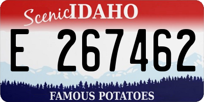 ID license plate E267462