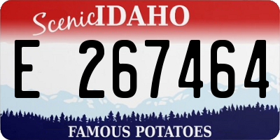 ID license plate E267464