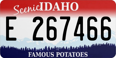 ID license plate E267466