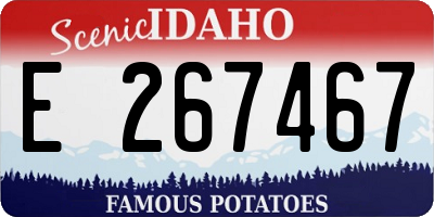 ID license plate E267467