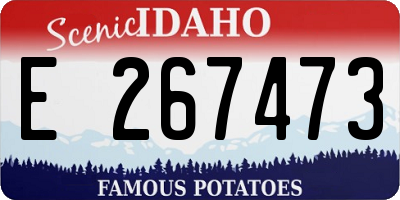 ID license plate E267473
