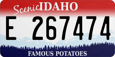 ID license plate E267474